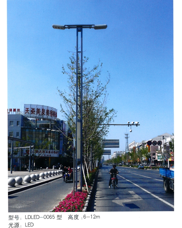 LED路灯 LED-047